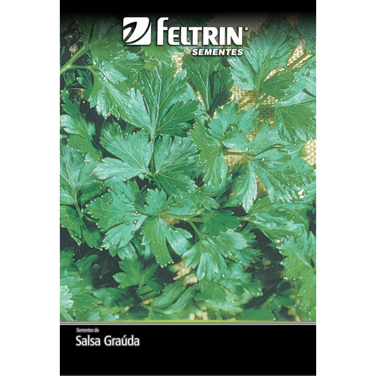 Semente Salsa Grauda Feltrin, marca  - Foto Principal