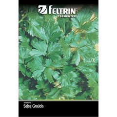 Semente Salsa Grauda Feltrin