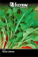Semente Rucula Cultivada Feltrin