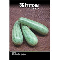Semente Abobrinha Caserta Italiana  Feltrin