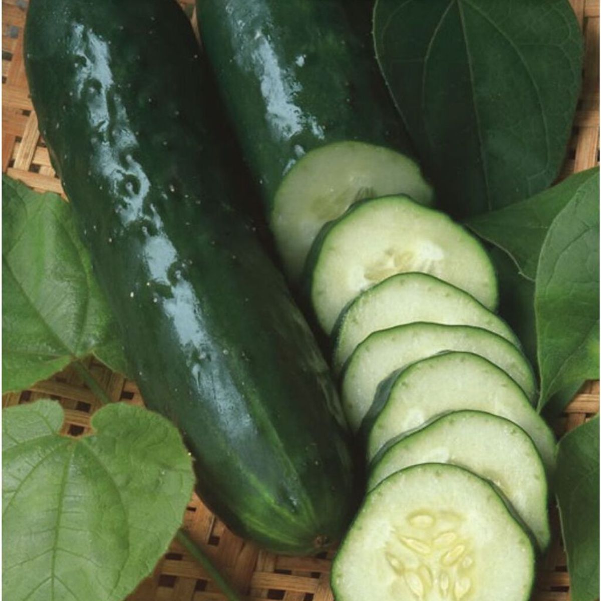 Semente Pepino Verde Comprido Feltrin, marca  - Foto Principal