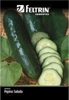 Semente Pepino Verde Comprido Feltrin