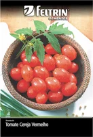 Semente Tomate Carolina Feltrin