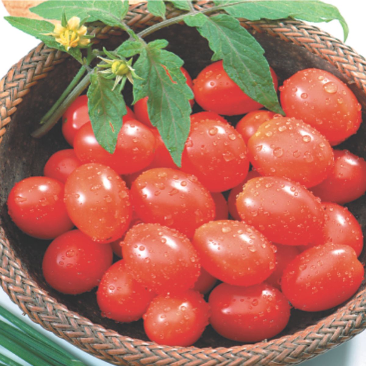 Semente Tomate Carolina Feltrin, marca  - Foto 2