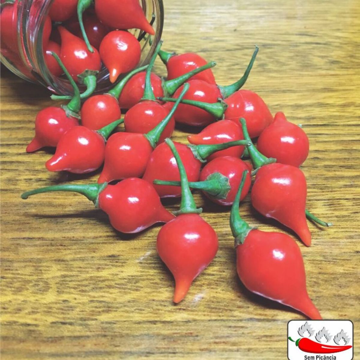 Semente Pimenta Bico Feltrin, marca  - Foto Principal