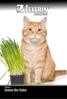 Semente Grama dos Gatos Feltrin