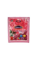 Bolinha de Gel para Planta Rosa Fg Import