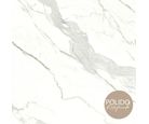 Piso Retificado Statuario Polido 66x66 Extra 4 Faces Ind. de Uso Lb
