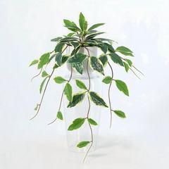 Planta Artificial Hera Variegada