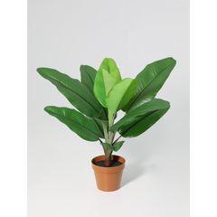 Planta Artificial Ave do Paraíso