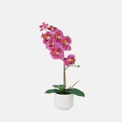 Planta Artificial Orquídea Amarante