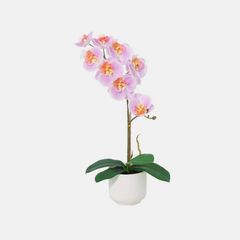 Planta Artificial Orquídea Violeta