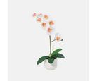 Planta Artificial Orquídea Branca