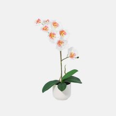 Planta Artificial Orquídea Branca