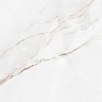 Porcelanato Acetinado Esmaltado Interno 60x60 Branco Parana Caixa 1,80m2