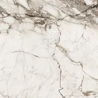 Sb Piso Bri Bold Praule 61x61cx2,65 Ceral