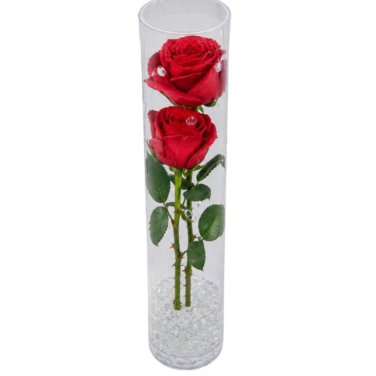 Rosa Unitária Bela, marca Timlog - Foto Principal