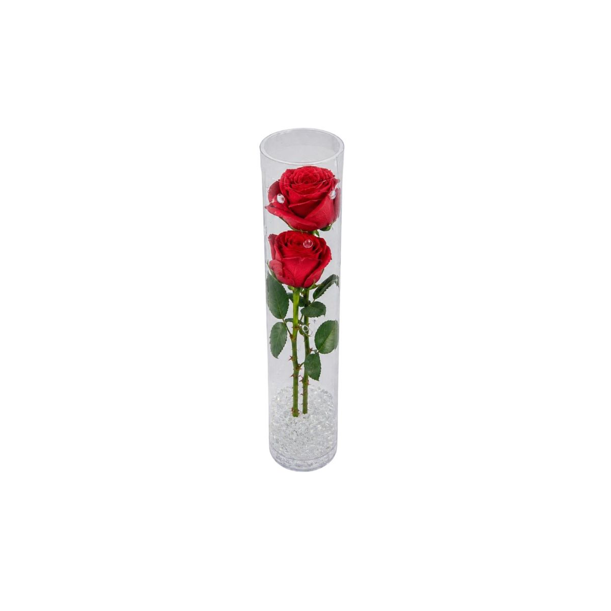 Rosa Unitária Bela, marca Timlog - Foto Principal