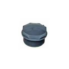 Plug com Rosca 11/2