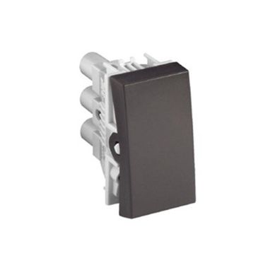 Mdulo Interruptor Paralelo S30 4x4x2cm 10A 250V Grafite