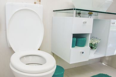 Assento Sanitrio Almofadado Tradicional Branco