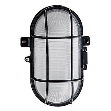 Tartaruga Pc, Esmaltado, Bivolt