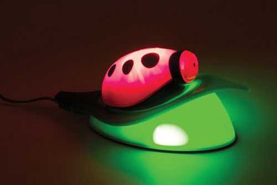 Luminria Beet Ledosram 6631, Verde