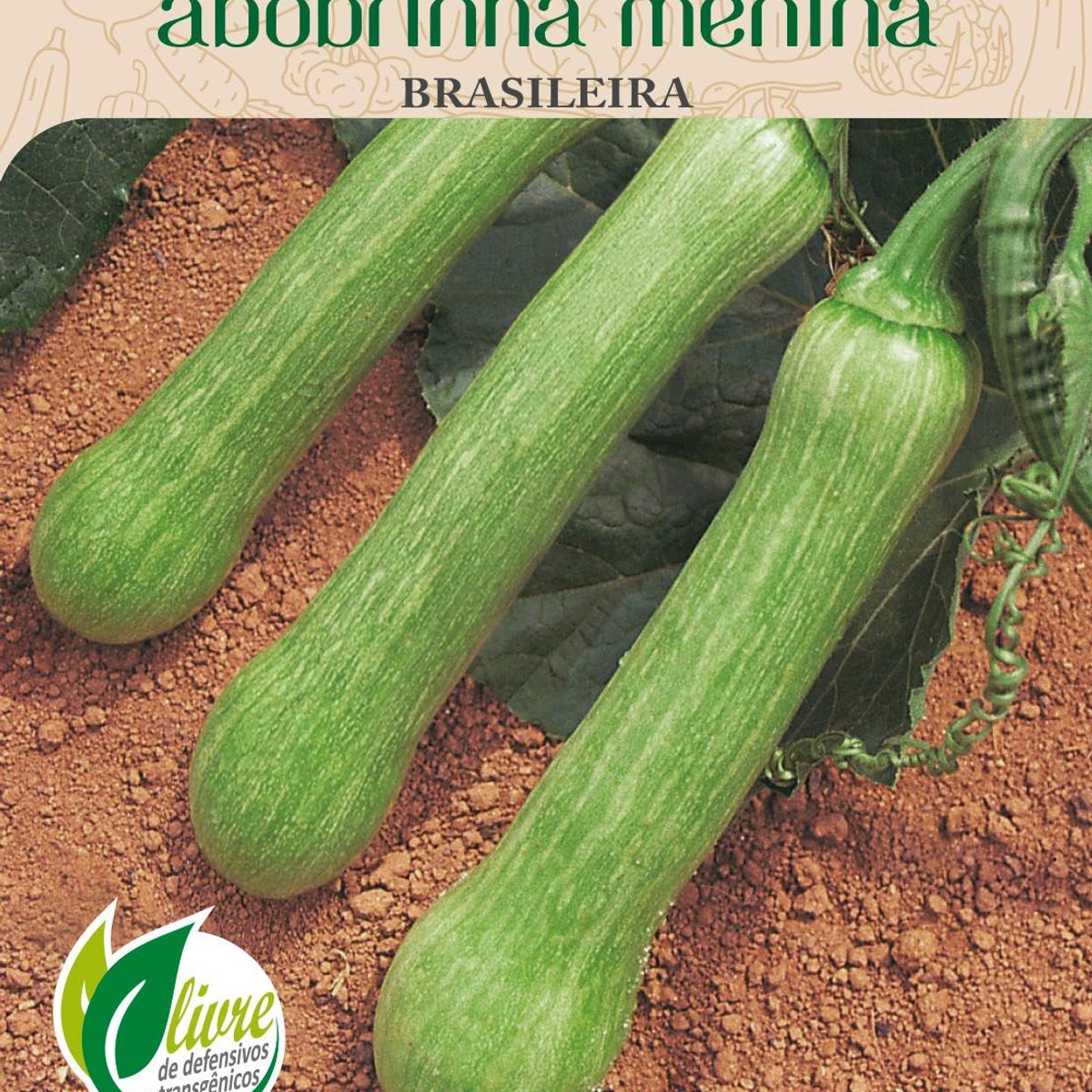 Semente Horta Abobrinha Menina Brasileira, marca Topseed Garden - Foto Principal
