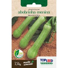 Semente Horta Abobrinha Menina Brasileira