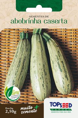 Semente Horta Abobrinha Caserta