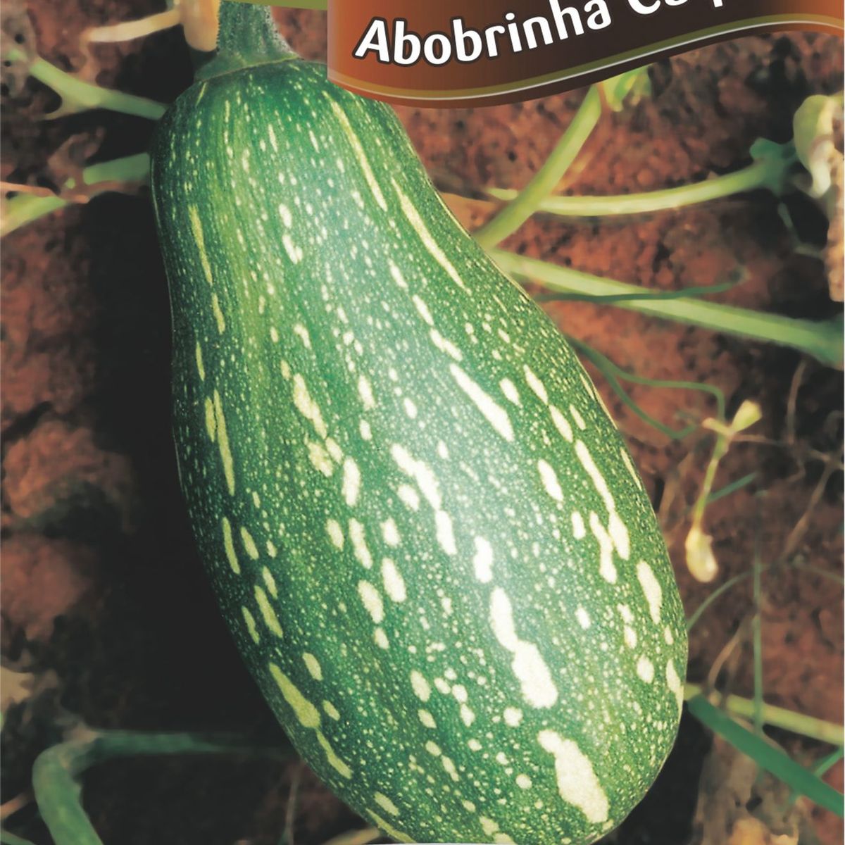 Semente Horta Abobrinha Caipira, marca Topseed Garden - Foto Principal