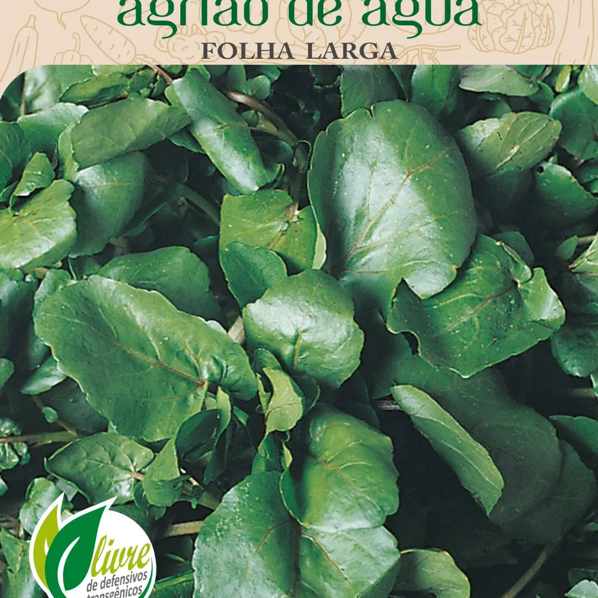 Semente Horta Agrião Água Folha Larga, marca Topseed Garden - Foto Principal