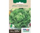 Semente Horta Alface Americana