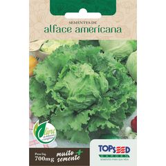 Semente Horta Alface Americana