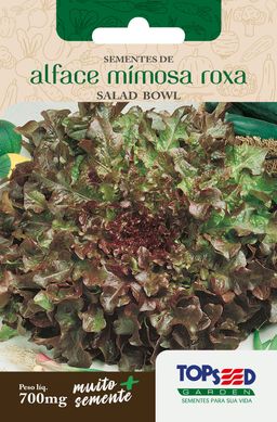 Semente Horta Alface Mimosa Salada Bowl, Roxa
