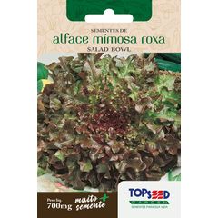 Semente Horta Alface Mimosa Salada Bowl, Roxa