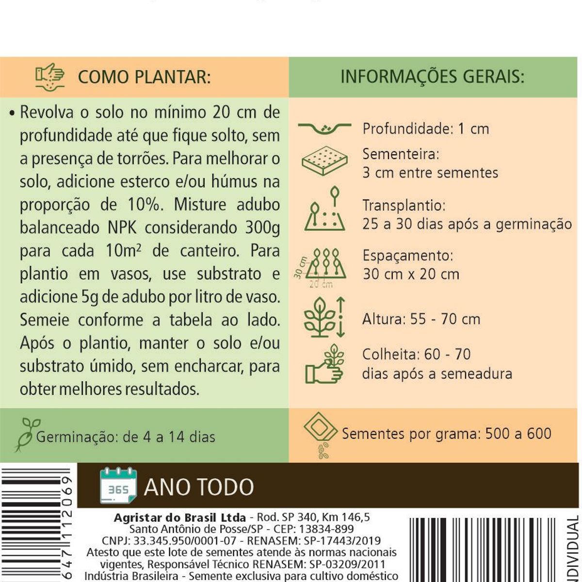 Semente Horta Almeirão Spadona, marca Topseed Garden - Foto 2