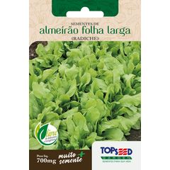 Semente Horta Almeirão Folha Larga Radiche