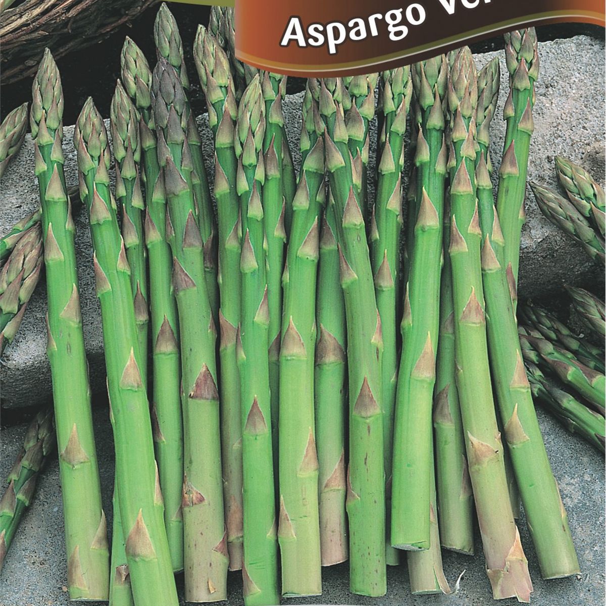 Semente Horta Aspargo, Verde, marca Topseed Garden - Foto Principal