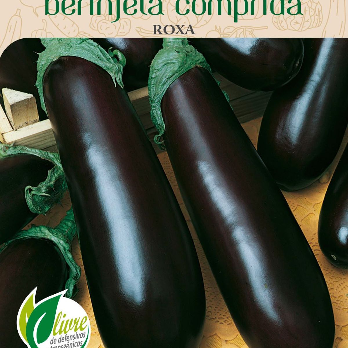 Semente Horta Berinjela Comprida, Roxa, marca Topseed Garden - Foto Principal