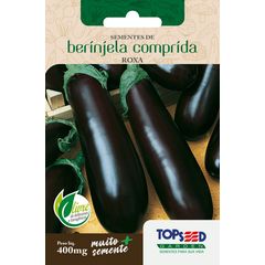 Semente Horta Berinjela Comprida, Roxa