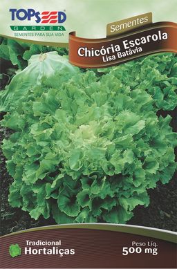 Semente Horta Chicria Escarola Lisa Batvia