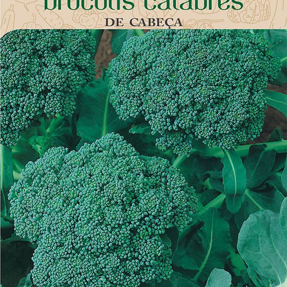 Semente Horta Brócolis de Cabeça, marca Topseed Garden - Foto Principal