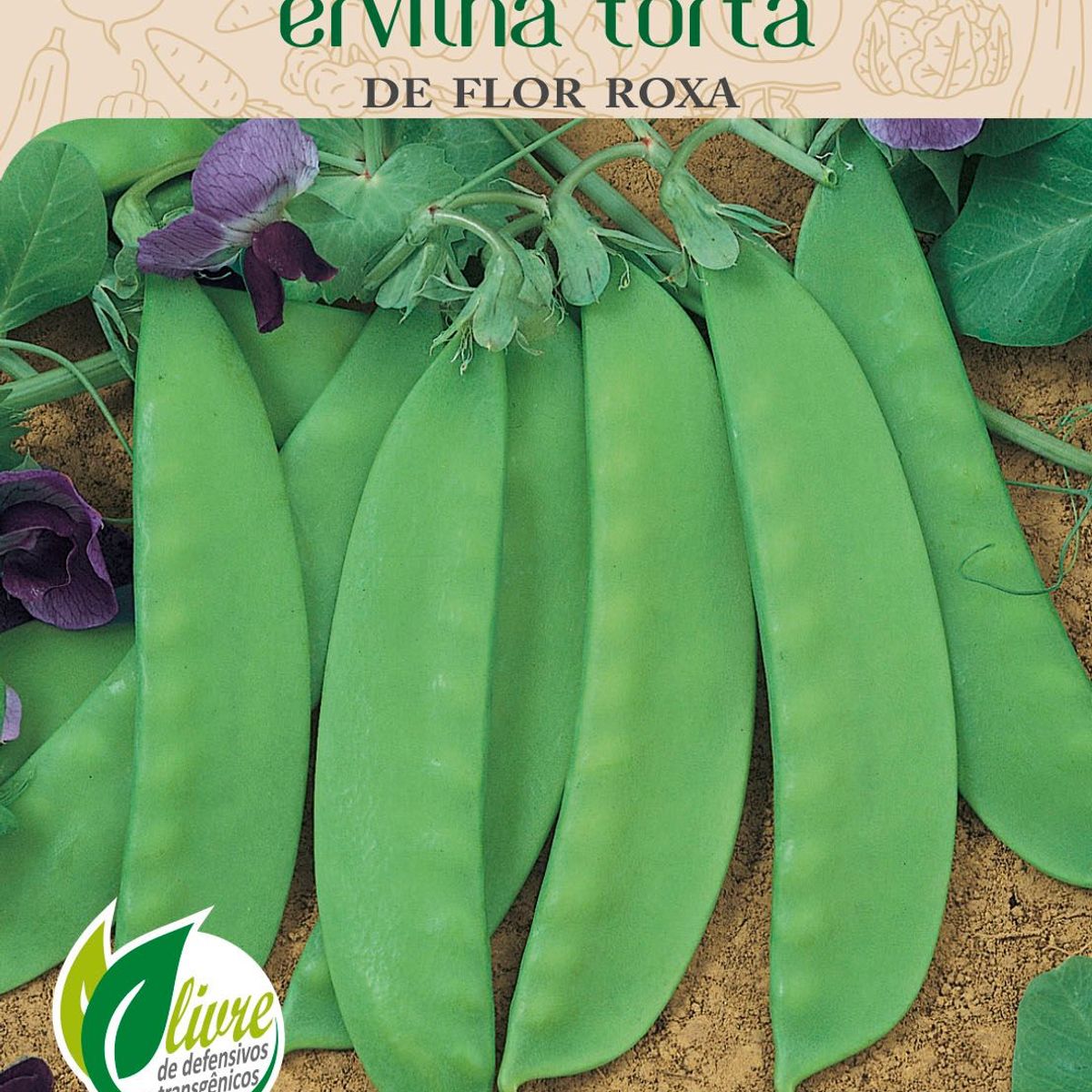 Semente Horta Ervilha Torta Flor, Roxo, marca Topseed Garden - Foto Principal