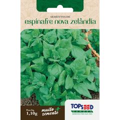 Semente Horta Espinafre Nova Zelândia