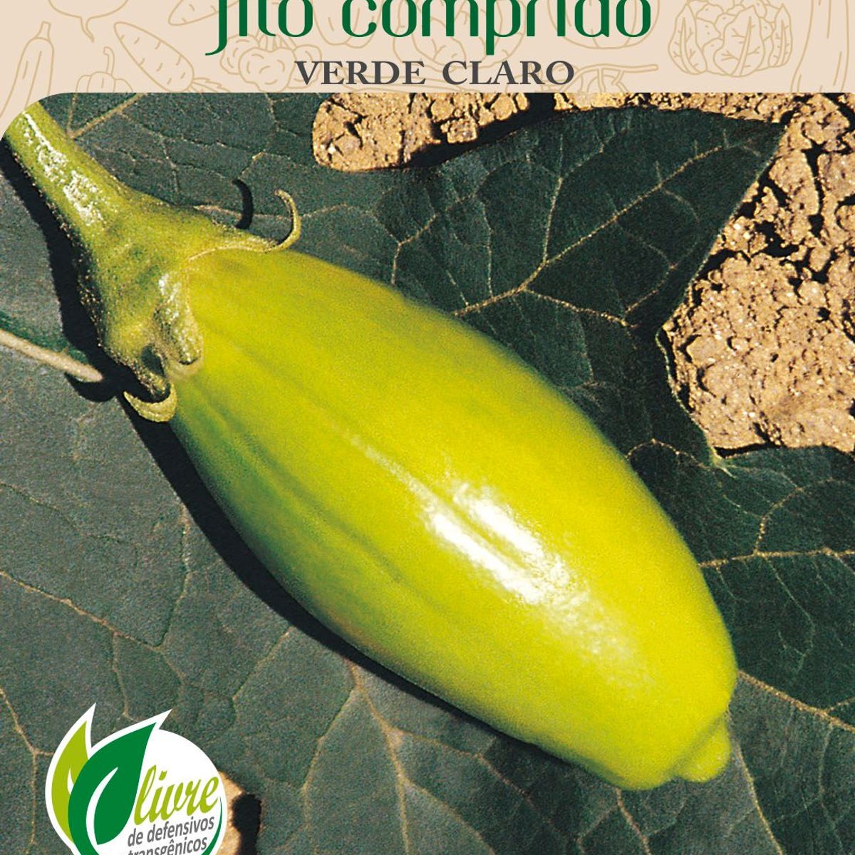 Semente Horta Jiló Comprido, Verde, marca Topseed Garden - Foto Principal