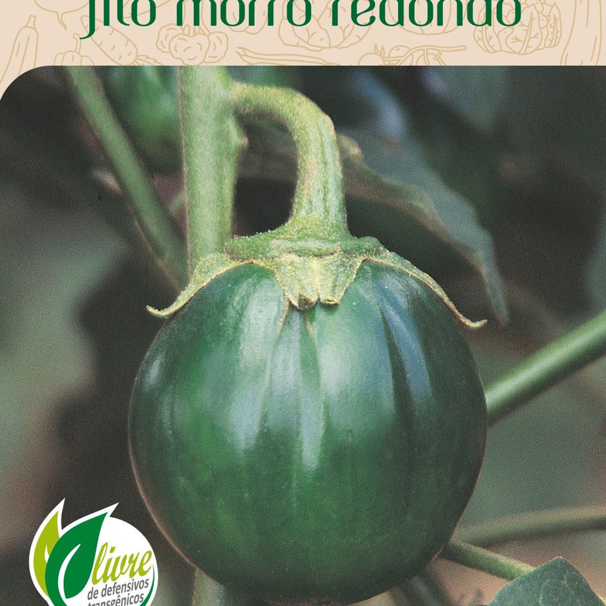 Semente Horta Jiló Morro Redondo, marca Topseed Garden - Foto Principal