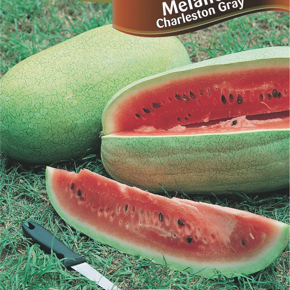 Semente Horta Melancia Charleston Gray, marca Topseed Garden - Foto Principal