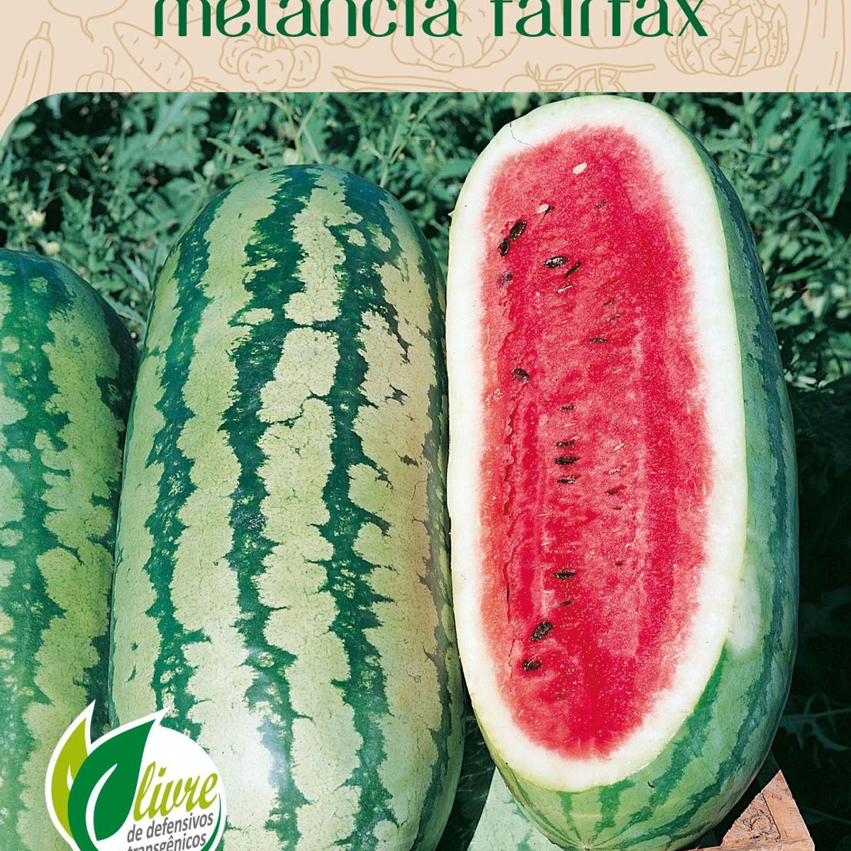 Semente Horta Melancia Fairfax, marca Topseed Garden - Foto Principal