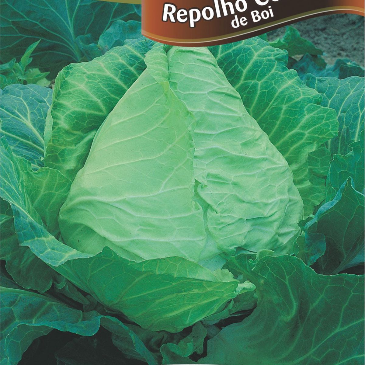 Semente Horta Repolho Coração Boi, marca Topseed Garden - Foto Principal